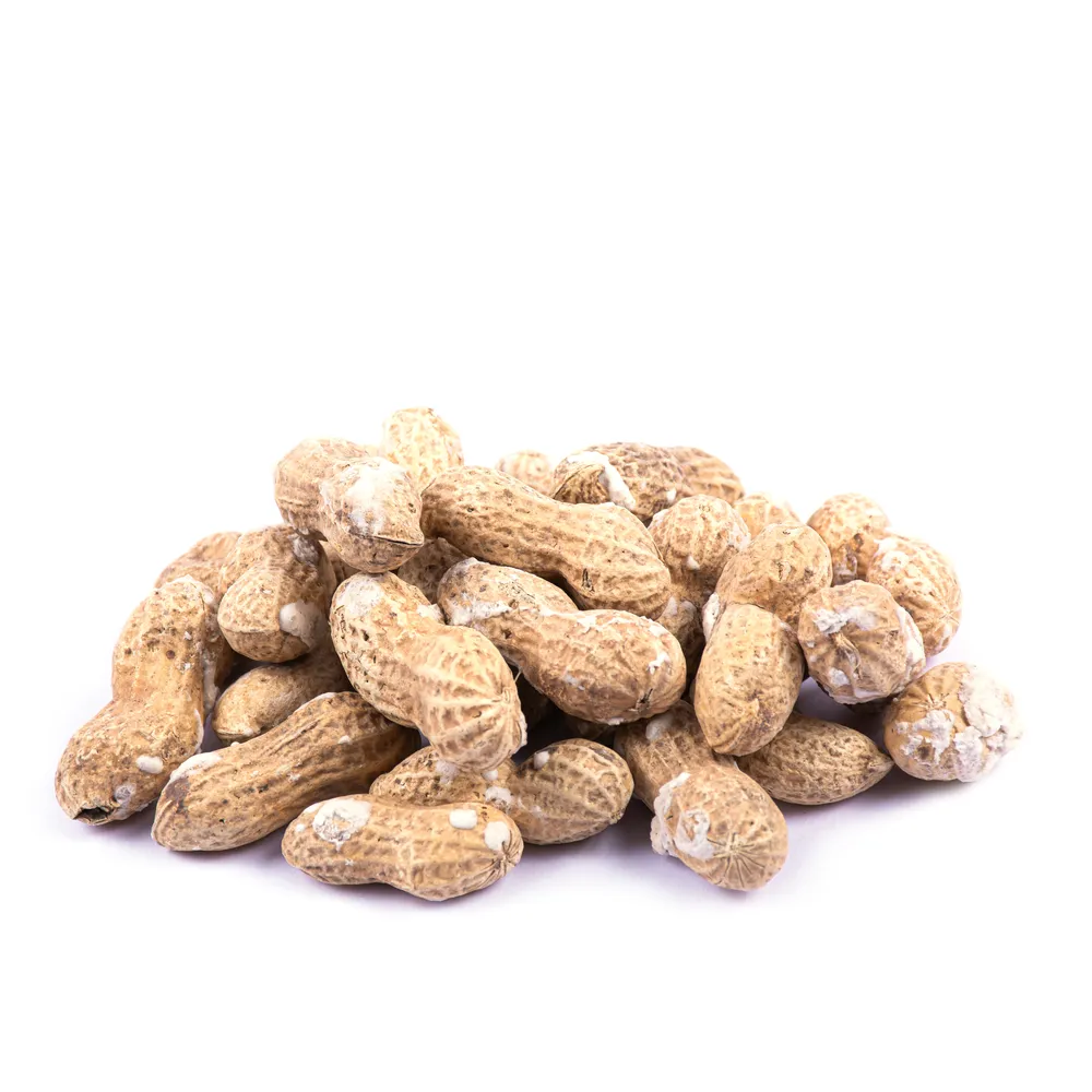 بادام زمینی برشته آستانه با پوست بادام زمینی با پوست شور ( آستانه )